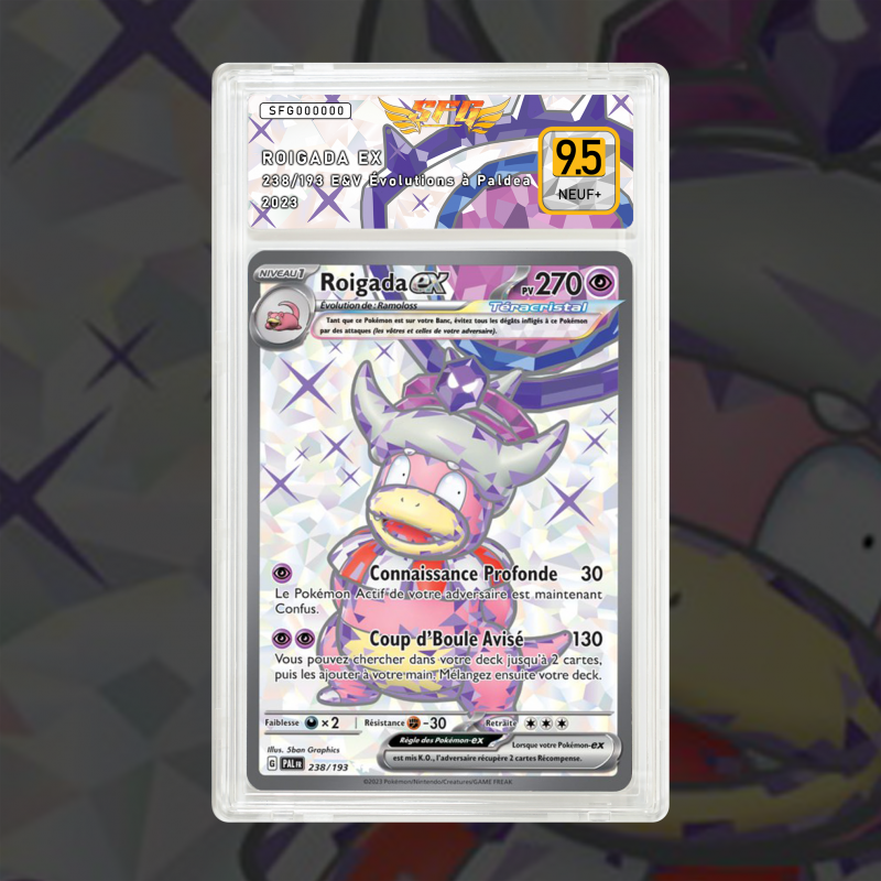 Gradation Roigada Ex 238/193 Full Art | SFG Grading