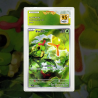 Gradation Chenipan 172/165 Full Art | SFG Grading