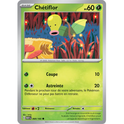 Chétiflor 69/165