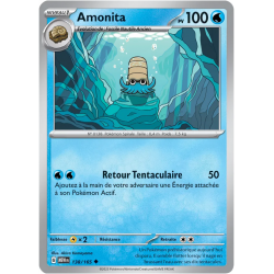 Amonita 138/165