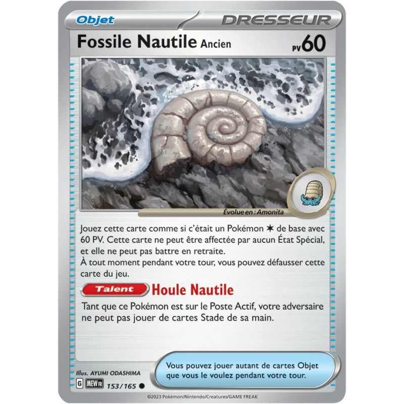 Fossile Nautile Ancien 153/165