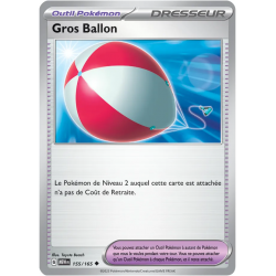 Gros Ballon 155/165