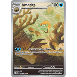 Amonita 180/165