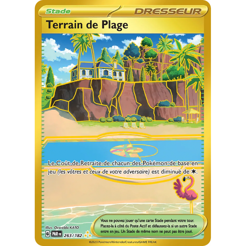 Terrain de Plage 263/182