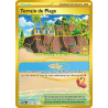 Terrain de Plage 263/182