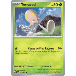 Terracool 004/91