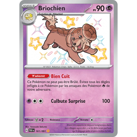 Briochien 161/91