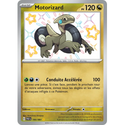 Motorizard 195/91