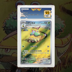 Gradation Boskara 164/162 Full Art | SFG Grading