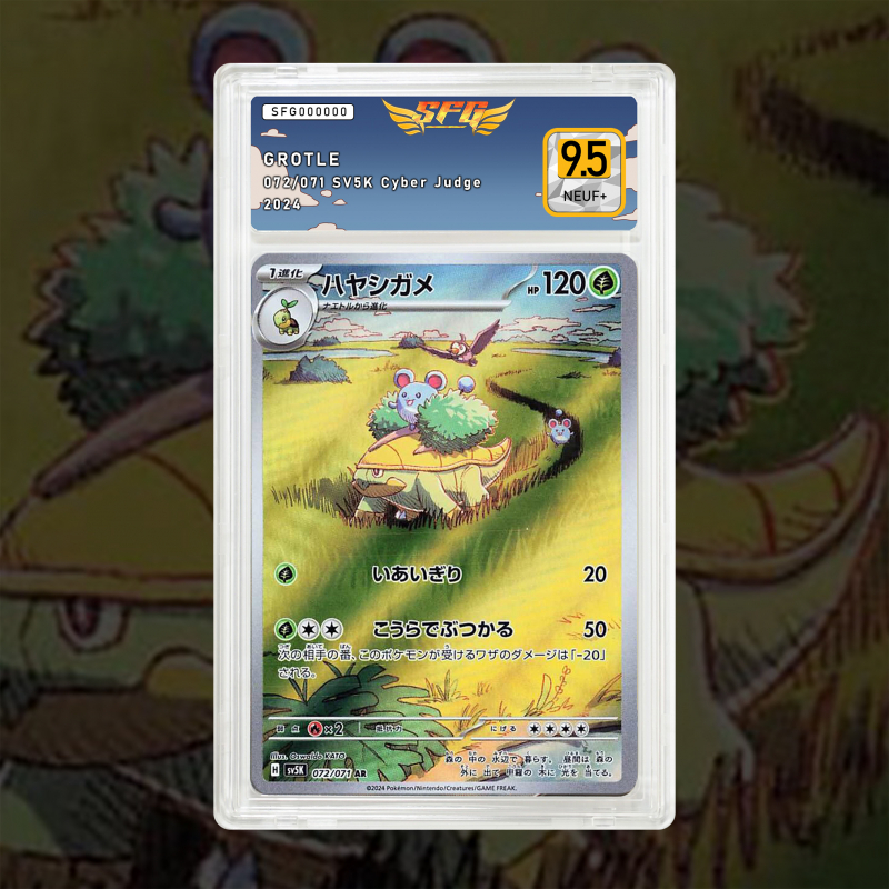 Gradation Boskara 164/162 Full Art | SFG Grading