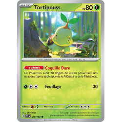 Tortipouss 010/162