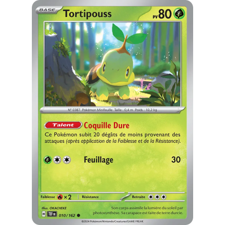 Tortipouss 010/162