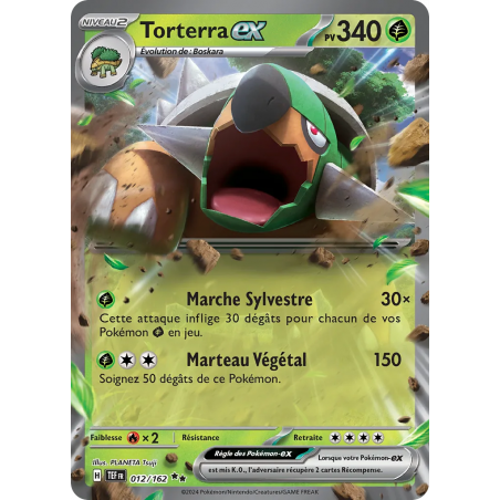 Torterra ex 012/162