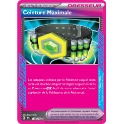 Ceinture Maximale 154/162