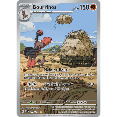 Bourrinos 175/162