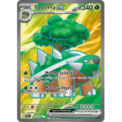 Torterra ex 185/162