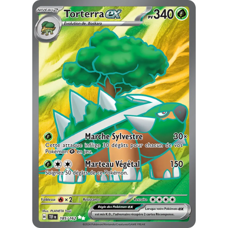 Torterra ex 185/162