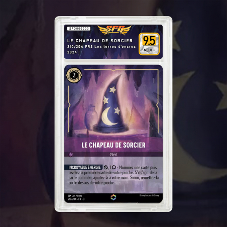 [FULL ART] LE CHAPEAU DE SORCIER 210/204