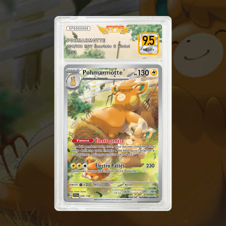 [FULL ART] POHMARMOTTE 209/198