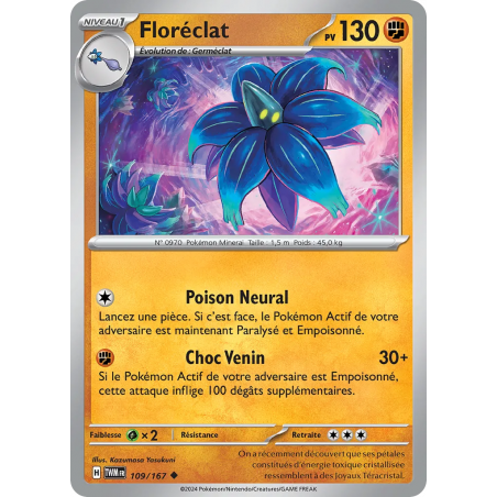 Floréclat 109/167