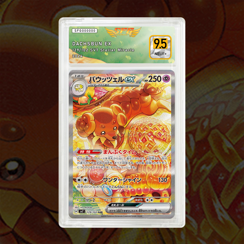 [FULL ART] BRIOCHIEN EX 169/142