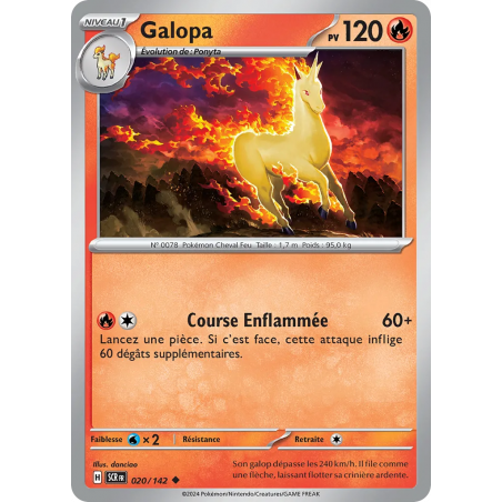 Galopa 020/142