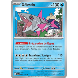 Délestin 045/142