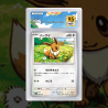 Gradation Évoli 113/142 Full Art | SFG Grading