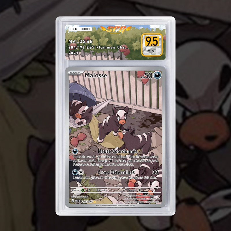 Gradation Malosse 204/197 Full Art | SFG Grading