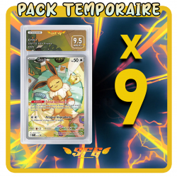 Pack 9 cartes étiquettes...