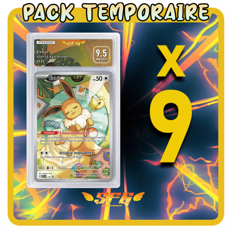 Pack 9 cartes étiquettes FULL ART - TOUTES LANGUES[LIRE]