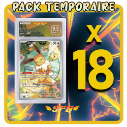Pack 18 cartes étiquettes...