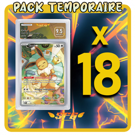 Pack 18 cartes étiquettes FULL ART - TOUTES LANGUES[LIRE]