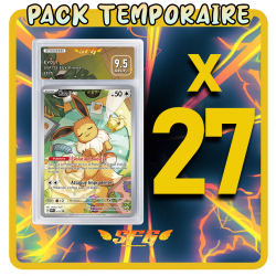 Pack 27 cartes étiquettes...