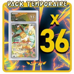 Pack 36 cartes étiquettes...