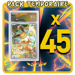 Pack 45 cartes étiquettes...