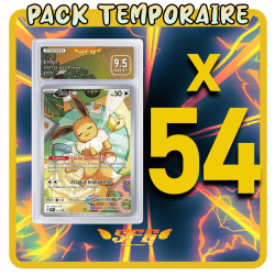Pack 54 cartes étiquettes...