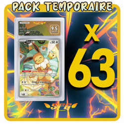 Pack 63 cartes étiquettes...