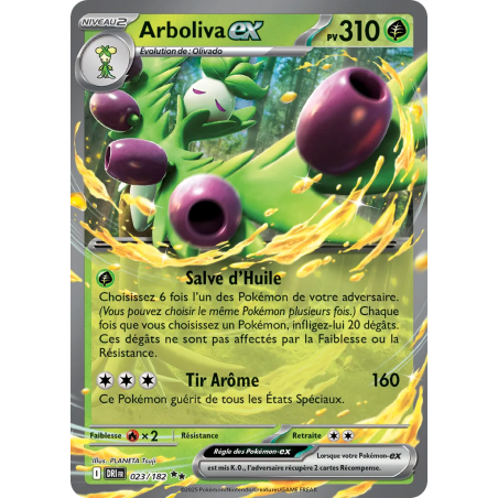 Arboliva ex 023/182