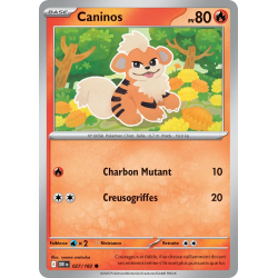 Caninos 027/182