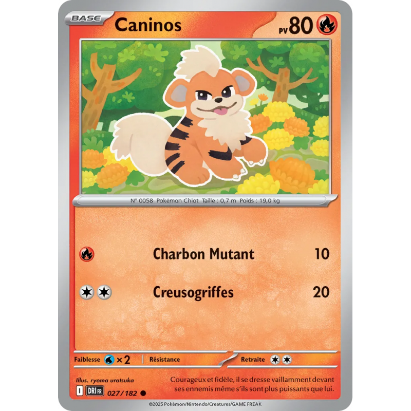 Caninos 027/182