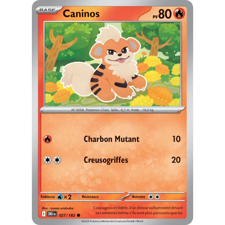 Caninos 027/182
