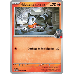 Malosse de la Team Rocket...