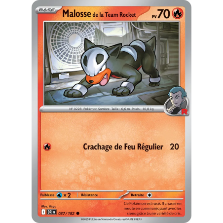 Malosse de la Team Rocket 037/182