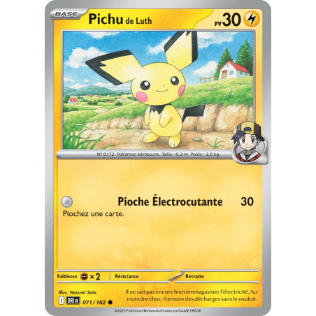 Pichu de Luth 071/182