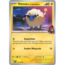 Wattouat de la Team Rocket...