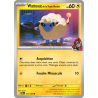 Wattouat de la Team Rocket 072/182