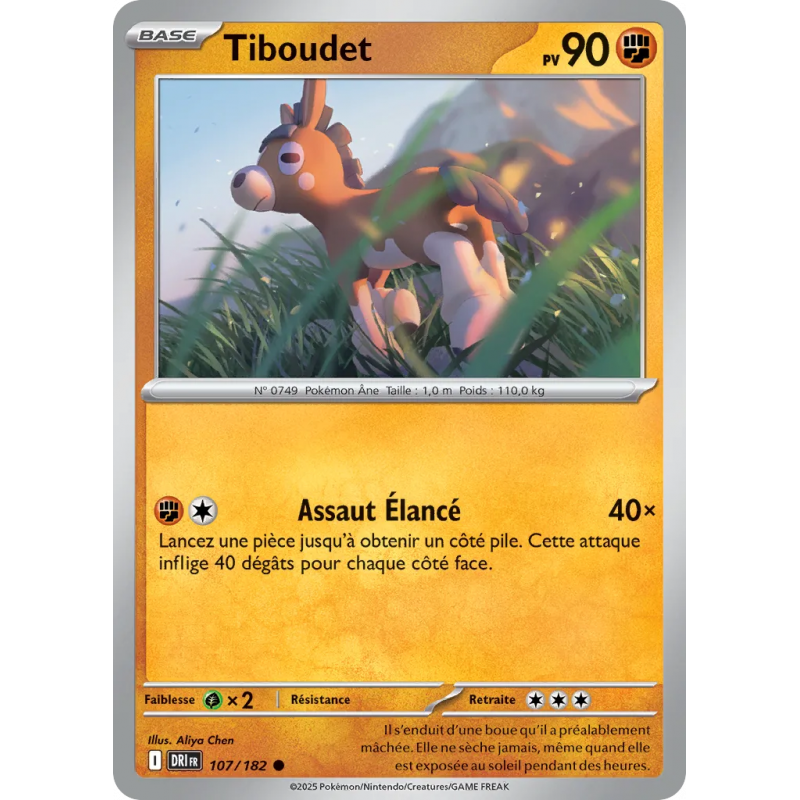 Tiboudet 107/182