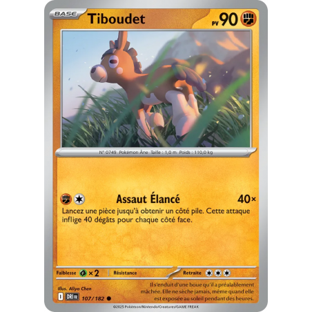 Tiboudet 107/182