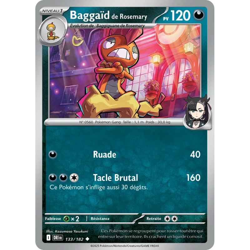 Baggaïd de Rosemary 133/182